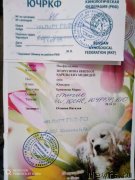 Превью фото № 242481