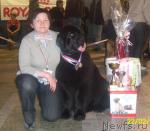 Превью фото № 24249