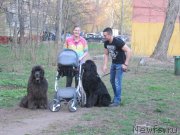 Превью фото № 242492