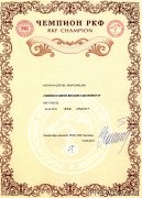 Превью фото № 242500