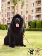 Превью фото № 242506