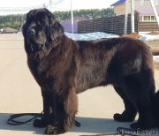 Превью фото № 242553