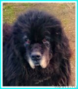 Превью фото № 242556