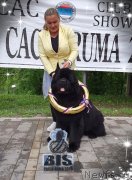 Превью фото № 242568