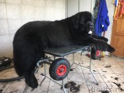 Превью фото № 242587