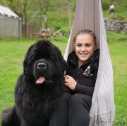 Превью фото № 242588