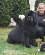 Превью фото № 242589