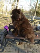 Превью фото № 242591