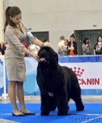 Превью фото № 242608