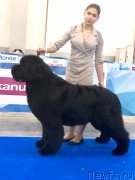 Превью фото № 242614