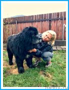 Превью фото № 242627