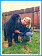 Превью фото № 242629