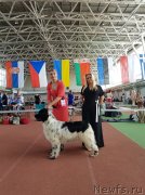 Превью фото № 242658