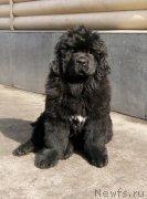 Превью фото № 242677