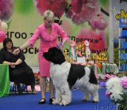 Превью фото № 242680