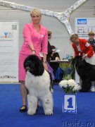 Превью фото № 242682