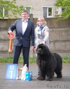 Превью фото № 242699