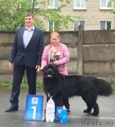 Превью фото № 242704