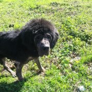 Превью фото № 242712