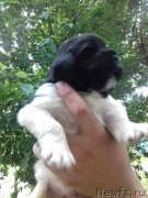 Превью фото № 242718