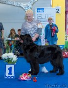 Превью фото № 242727