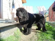 Превью фото № 242740