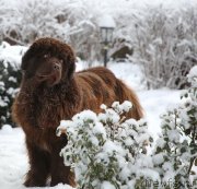 Превью фото № 242752