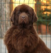 Превью фото № 242754