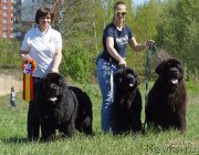 Превью фото № 242760