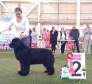 Превью фото № 242903