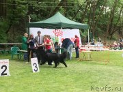 Превью фото № 242940