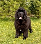 Превью фото № 242951