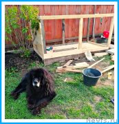 Превью фото № 242961