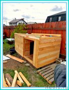 Превью фото № 242967