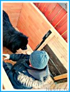 Превью фото № 242969