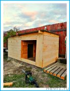 Превью фото № 242971