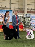 Превью фото № 243007