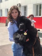 Превью фото № 243012