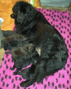 Превью фото № 243048