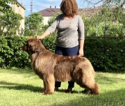 Превью фото № 243094