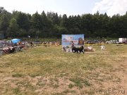 Превью фото № 243171