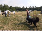 Превью фото № 243173