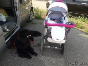 Превью фото № 243176