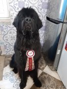 Превью фото № 243178