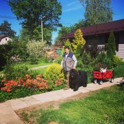 Превью фото № 243233