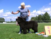 Превью фото № 243234