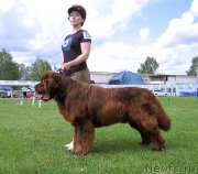 Превью фото № 243241