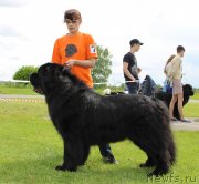 Превью фото № 243248