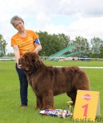 Превью фото № 243249