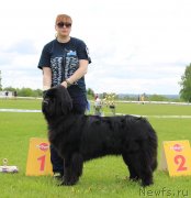 Превью фото № 243257